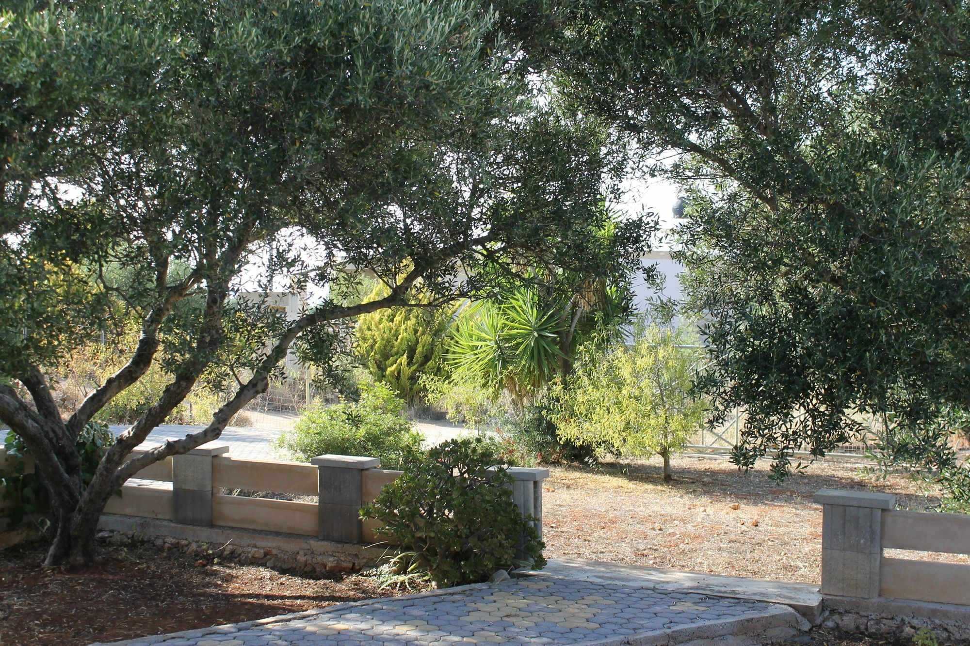 Katy'S Place Καλαθάς Εξωτερικό φωτογραφία